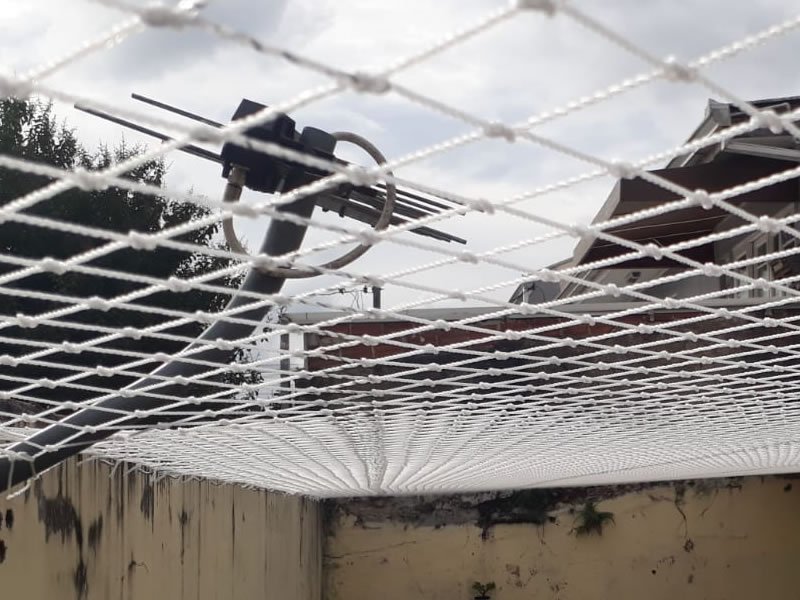 Tela musquiteira em Belém