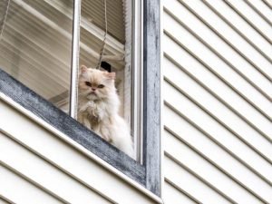 Redes de proteção pra Janela em Belém