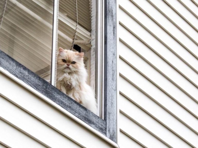 Redes de proteção pra Janela em Belém