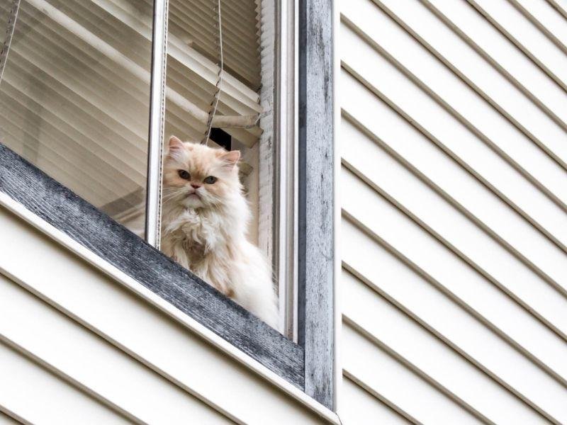 Redes de proteção pra Janela em Belém