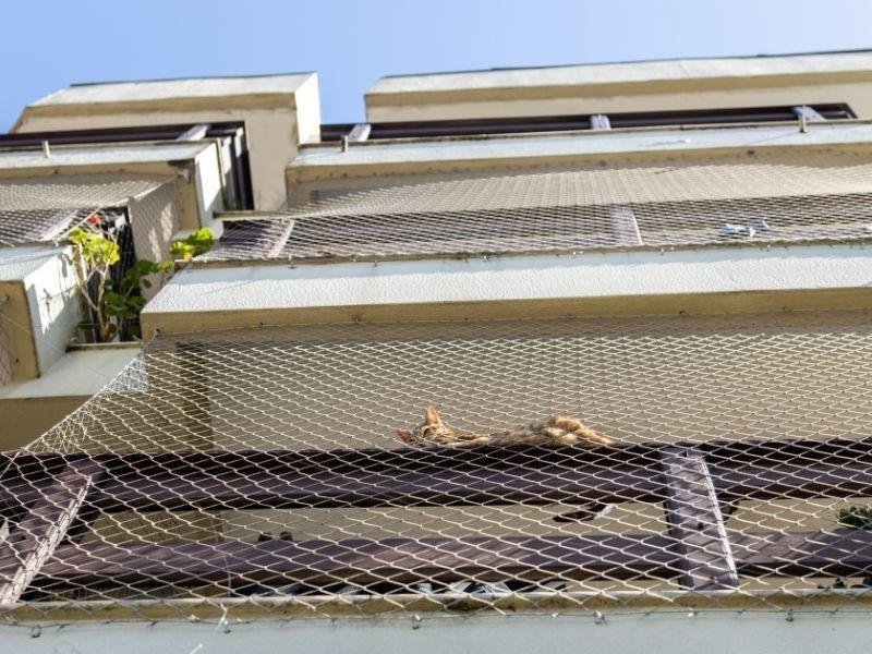 Tela de segurança para sua casa em Cidade Velha, Belém