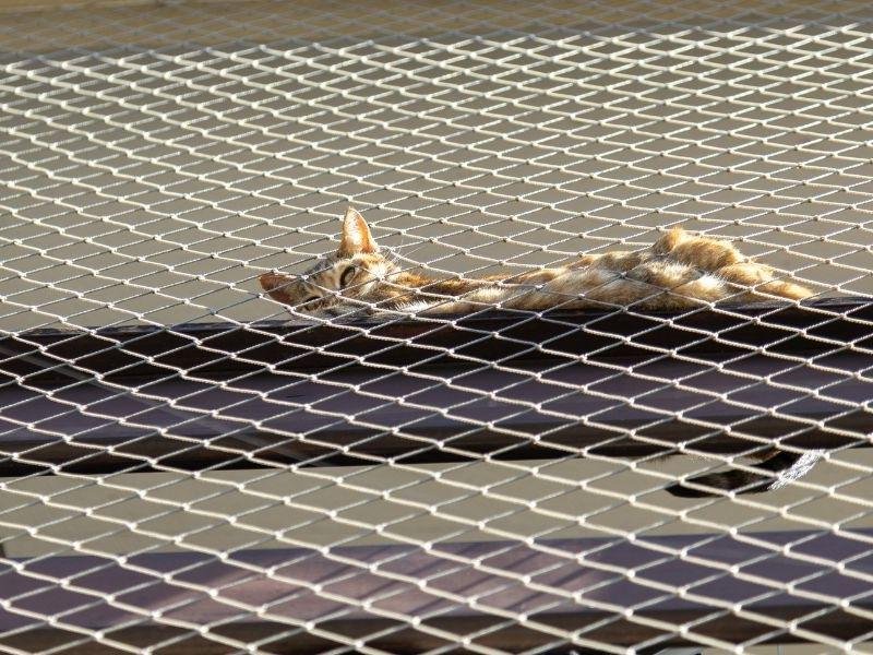 Telas de Proteção em Belém Telas de Proteção em Belém