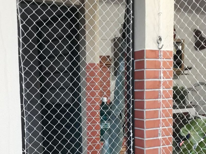 Proteja animais com rede protetora em Una, Belém