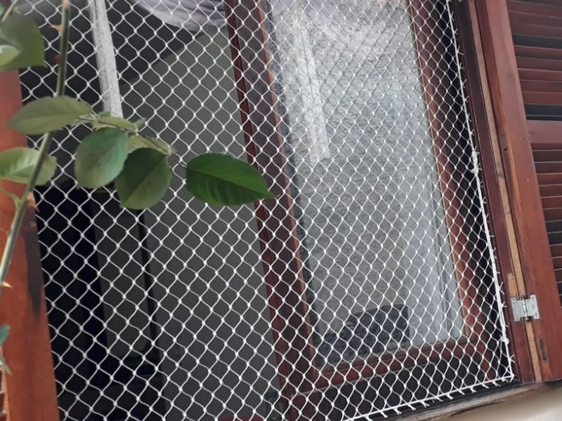 Redes de Proteção em Umarizal, Belém Redes de Proteção em Umarizal, Belém