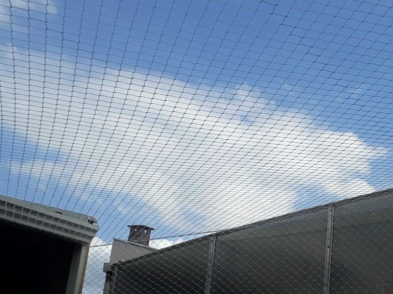 Garanta a segurança de crianças com tela de proteção em Cremação, Belém